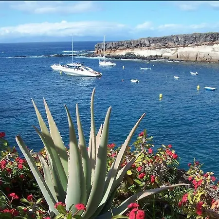 Compostela X Lejlighed Playa de las Américas